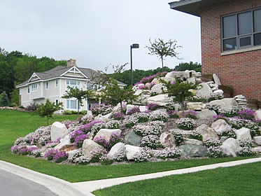 Hardy Geranium Hillside Landscaping Copper Ridge